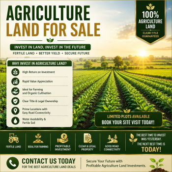 Agricultural/Farm Land for Sale in Badaun Road, Bareilly (100 Bigha)