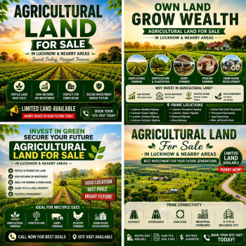 Agricultural/Farm Land for Sale in Fatehpur Barabanki, Barabanki (14 Bigha)