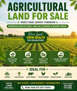 Agricultural/Farm Land for Sale in Barabanki, Lucknow (4 Bigha)