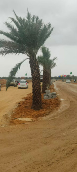 Property for sale in Sanganer, Jaipur