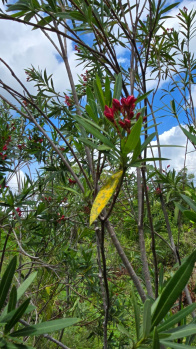 Property for sale in Kamarajar Salai, Madurai