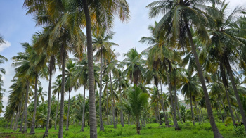 Property for sale in Kamarajar Salai, Madurai