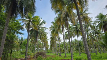 Property for sale in Kamarajar Salai, Madurai