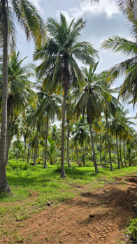 Property for sale in Kalavasal, Madurai