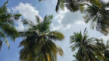 Property for sale in Kalavasal, Madurai