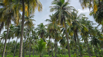 Property for sale in Kalavasal, Madurai