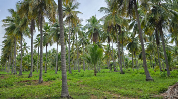 Property for sale in Kalavasal, Madurai