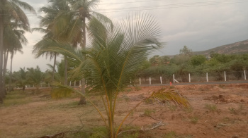 Agricultural/Farm Land for Sale in Kalavasal, Madurai (21780 Sq.ft.)