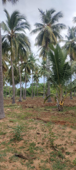 Property for sale in Achampathu, Madurai