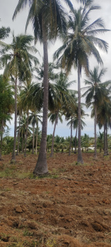 Property for sale in Achampathu, Madurai