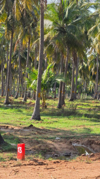 Agricultural/Farm Land for Sale in Kochadai, Madurai (10904 Sq.ft.)