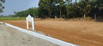 Residential Plot for Sale in Karunguzhi, Chengalpattu (1500 Sq.ft.)