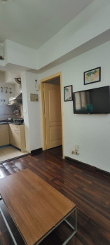 Flats & Apartments for Rent in Sector 137, Noida (700 Sq.ft.)