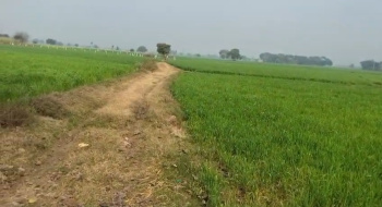 Property for sale in Jewar, Gautam Buddha Nagar
