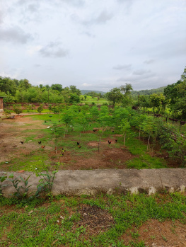 4 BHK Farm House for Sale in Morba, Raigad (70 Guntha)