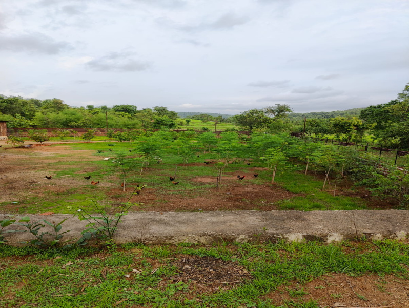 4 BHK Farm House For Sale In Morba, Raigad (70 Guntha)