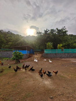 Property for sale in Morba, Raigad