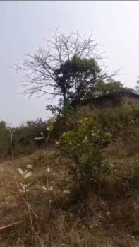 Property for sale in Karjat, Raigad