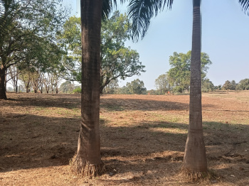 Residential Plot for Sale in Karjat, Raigad (3200 Sq.ft.)
