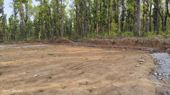 Residential Plot for Sale in Raipur, Dehradun (229 Sq. Yards)