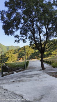 Property for sale in Sahastradhara