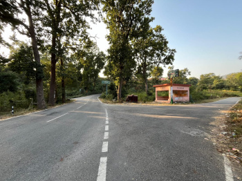 Residential Plot for Sale in Thano, Dehradun (245 Sq. Yards)