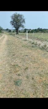 Agricultural/Farm Land for Sale in Chevella Mandla, Hyderabad (3.17 Acre)
