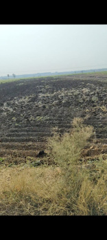 Agricultural/Farm Land For Sale In Chevella Mandla, Hyderabad (24 Guntha)