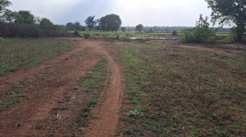 1 Acre Agricultural/Farm Land For Sale In Shabad, Rangareddy