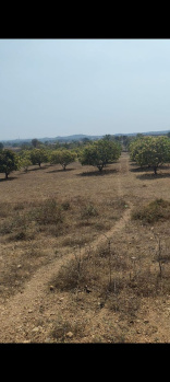 Agricultural/Farm Land for Sale in Narayanpet, Mahbubnagar (2 Acre)