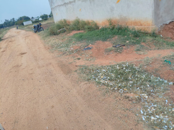 Agricultural/Farm Land For Sale In Shabad, Rangareddy (20 Guntha)