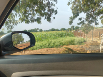 Agricultural/Farm Land For Sale In Shabad, Rangareddy (10 Guntha)