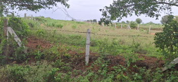 Agricultural/Farm Land for Sale in Chevella, Hyderabad (20 Guntha)