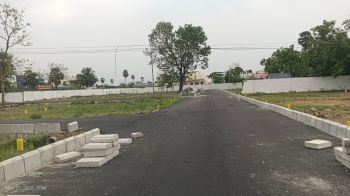 Residential Plot for Sale in Thiruporur, Chennai (600 Sq.ft.)
