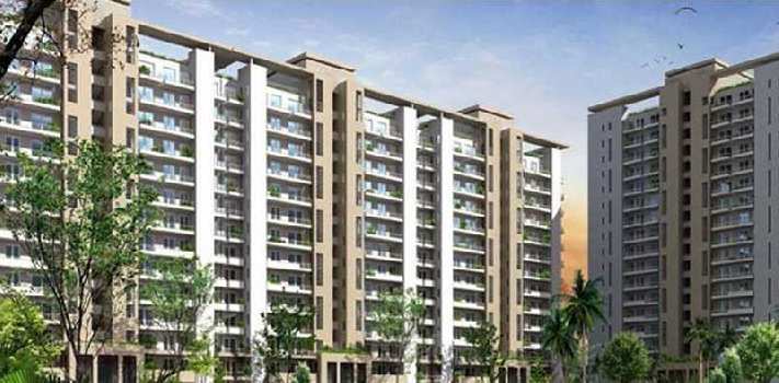 3 BHK Builder Floor for Sale in Sector 50, Gurgaon