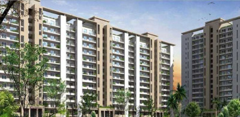 3bhk builder floor for sale in Mayfield Garden Sector-50 Gurgaon