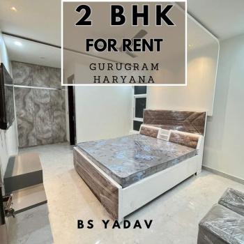 Fully Furnished 2 BHK Apartment in Sector 43, Gurugram | 1250 sq ft | ₹35,000