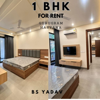 1 BHK Apartment in Sector 42, HUDA City, Gurugram | Affordable Living