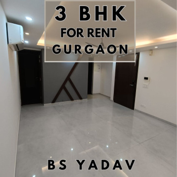 Spacious 3 BHK Apartments in Sector 42, HUDA City, Gurugram