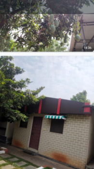 6000 Sq. Yards Residential Plot for Sale in Jangaon, Warangal (2000 Sq. Yards)