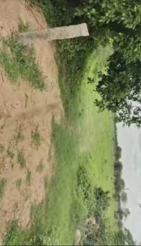 5.5 Acre Agricultural/Farm Land for Sale in Balanagar, Hyderabad