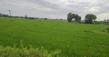 Agricultural/Farm Land for Sale in Mamandur, Chengalpattu (71 Cent)