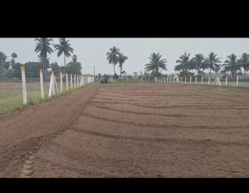 Agricultural/Farm Land for Sale in Pudupattinam, Chengalpattu (41 Sq.ft.)