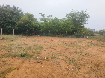 Residential Plot for Sale in Mambakkam, Chennai (1440 Sq.ft.)