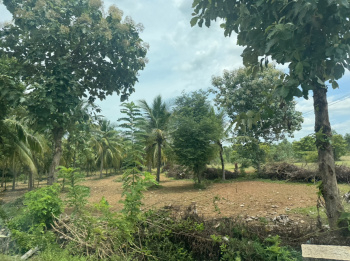 Industrial Land / Plot For Sale In Gummidipoondi, Chennai (2 Acre)