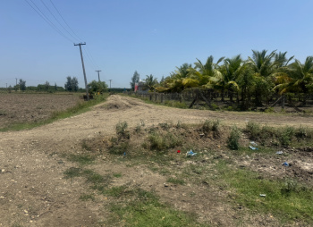 Agricultural/Farm Land for Sale in Vanur, Villupuram (1200 Acre)
