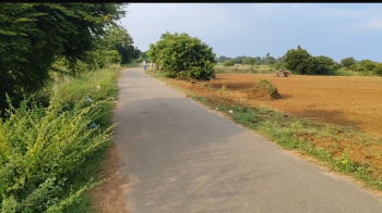 Agricultural/Farm Land for Sale in Gummidipoondi, Thiruvallur (4.65 Ares)