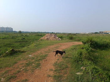 Property for sale in Patrapada, Bhubaneswar
