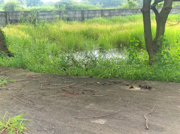 Residential Plot for Sale in Old Dhamtari Road, Raipur (2200 Sq.ft.)