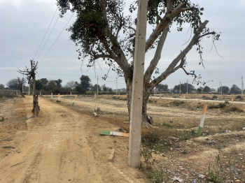 Residential Plot for Sale in Azad Nagar, Hisar (900 Sq.ft.)